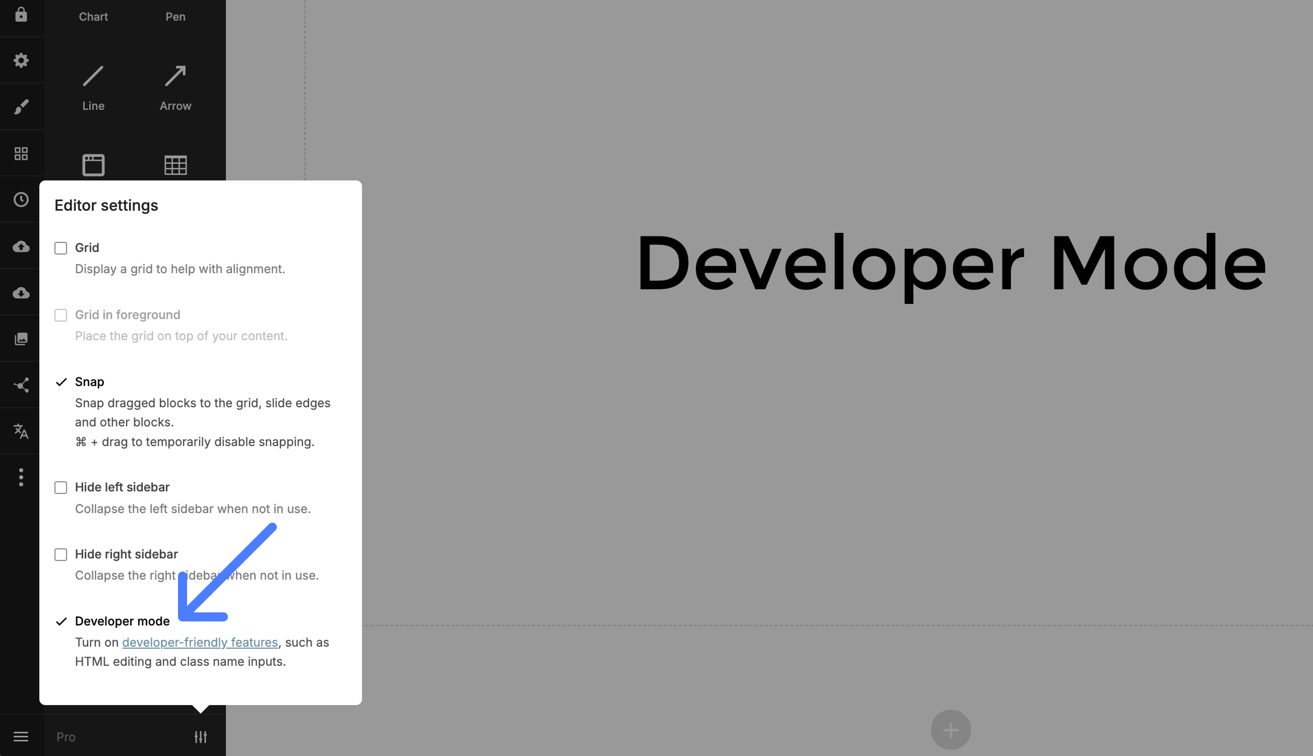 Developer mode option in editor settings
