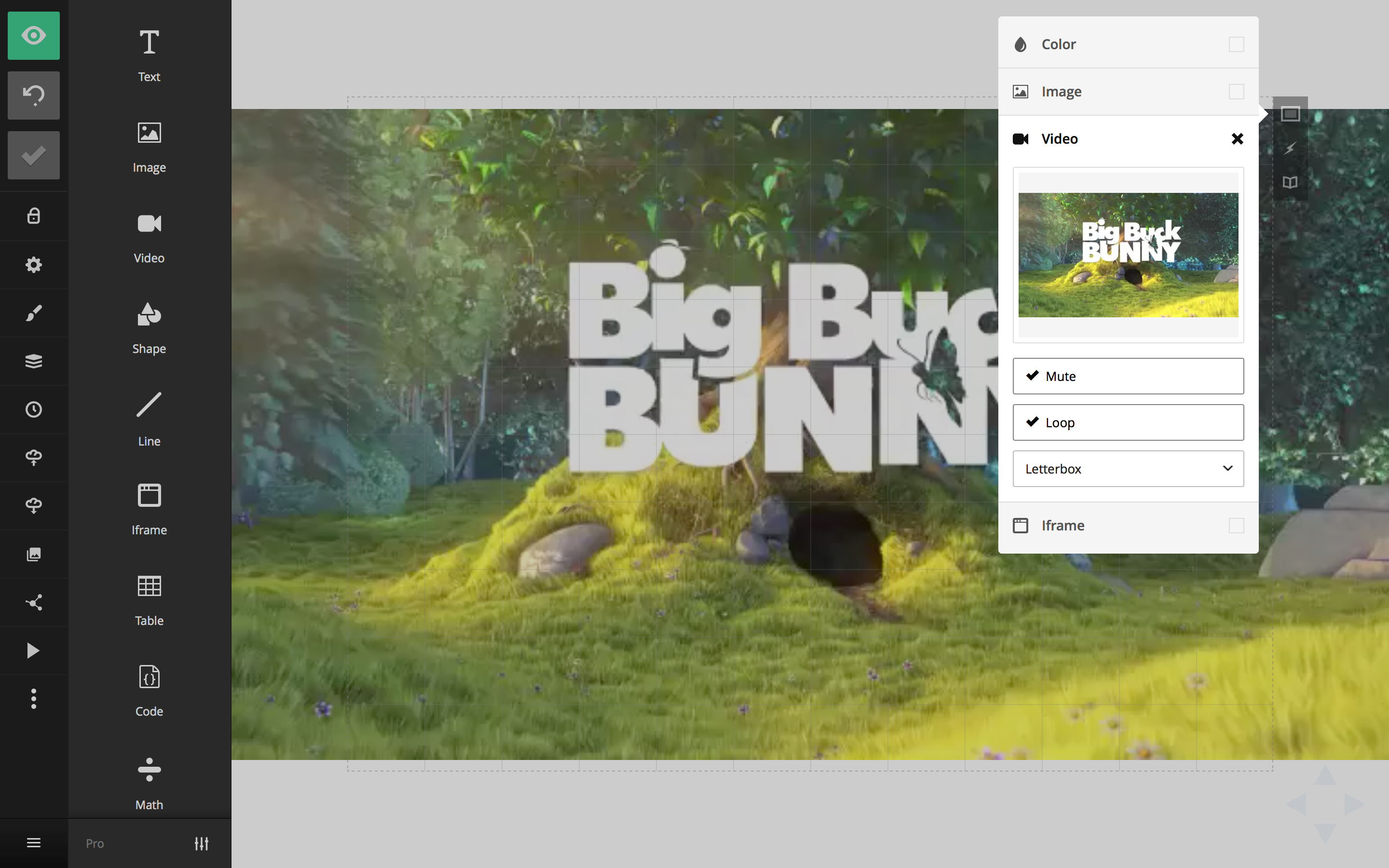 Video selected as a slide background